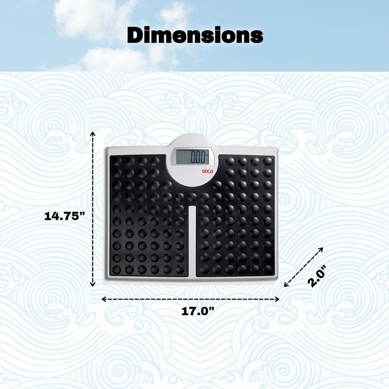 seca 813 High Capacity Digital Flat Scale for Individual Patient Use - 440 lbs Capacity - Image 3